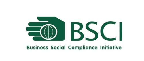 BSCI logo