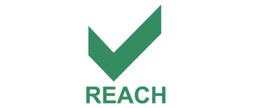 REACH logo